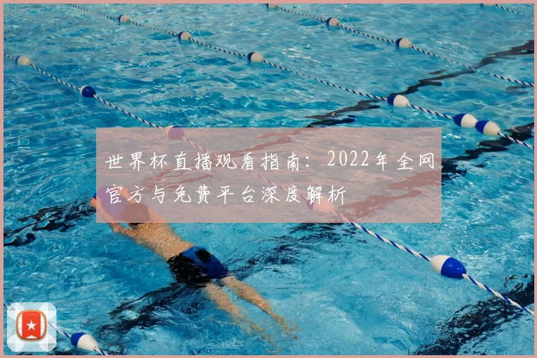 世界杯直播观看指南：2022年全网官方与免费平台深度解析