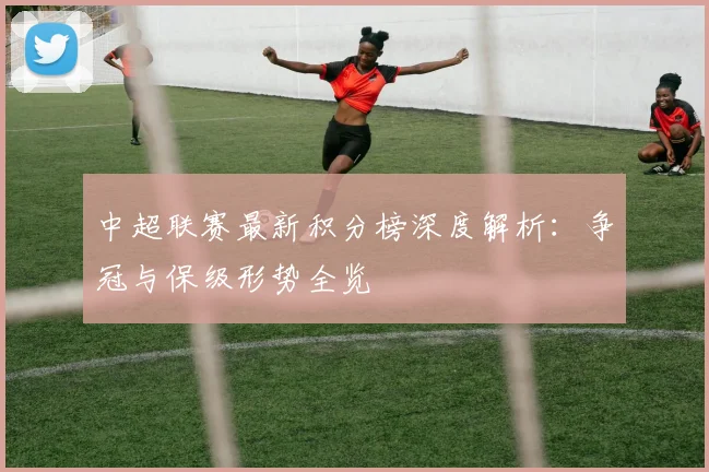 中超联赛最新积分榜深度解析：争冠与保级形势全览