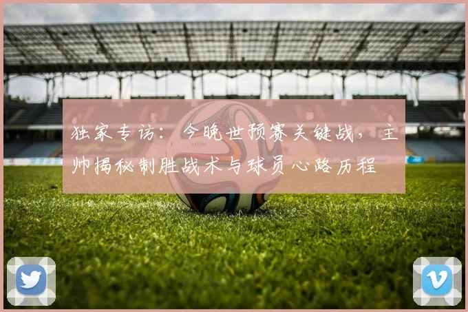 独家专访:今晚世预赛关键战,主帅揭秘制胜战术与球员心路历程