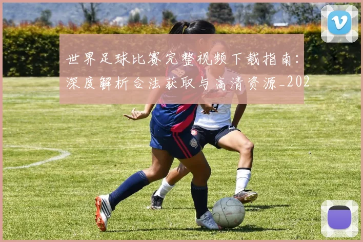 世界足球比赛完整视频下载指南：深度解析合法获取与高清资源_20260609201503